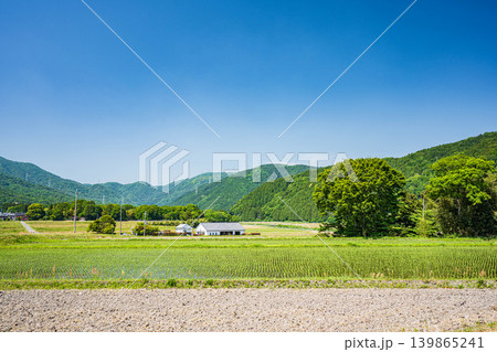 奥琵琶湖の長閑な田園風景 滋賀県高島市マキノ町 奥琵琶湖の長閑な田園風景 滋賀県高島市マキノ町 139865241