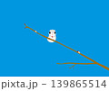 青空に枝に止まっているエゾモモンガのイラスト 139865514