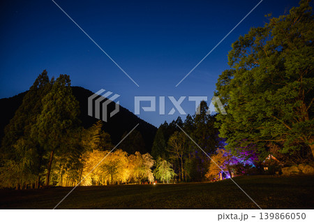 福井県坂井市 竹田の里しだれ桜のライトアップ夜景 福井県坂井市 竹田の里しだれ桜のライトアップ夜景 139866050