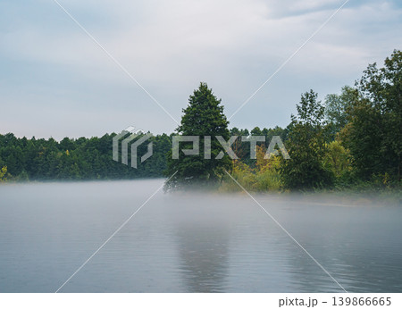 Fog settles over a calm lake in the early morning. Dense trees line the banks, with a large coniferous tree standing prominently 139866665