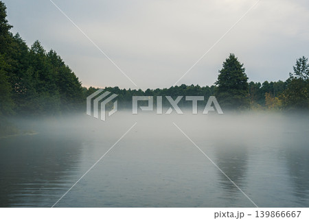Fog settles over a calm lake in the early morning. Dense trees line the banks, with a large coniferous tree standing prominently Fog settles over a calm lake in the early morning. Dense trees line the banks, with a large coniferous tree standing prominently 139866667