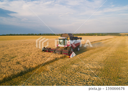 Combine harvester move through an expansive golden wheat field, harvesting crops under the bright setting sun Combine harvester move through an expansive golden wheat field, harvesting crops under the bright setting sun 139866676