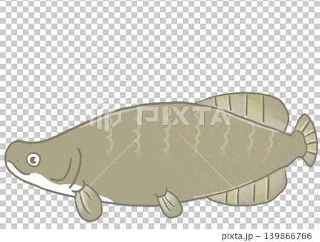 R: A more fairytale-like aquarium ☆ Pirarucu ② R: A more fairytale-like aquarium ☆ Pirarucu ② 139866766