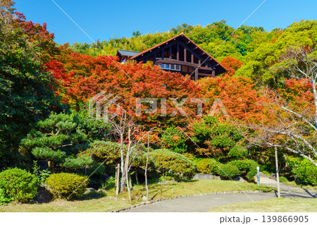 秋　紅葉の天王山 139866905