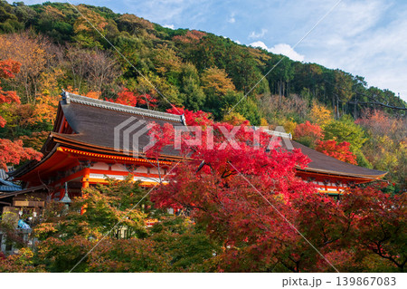 Kiyomizu-dera temple with fall maple leaf foliage colors, Kyoto Kiyomizu-dera temple with fall maple leaf foliage colors, Kyoto 139867083
