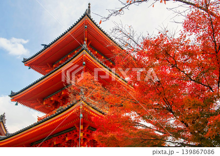 iconic Kiyomizu-dera pagoda by red maple leaf in autumn, Kyoto iconic Kiyomizu-dera pagoda by red maple leaf in autumn, Kyoto 139867086
