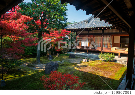 Colorful autumn foliage leaf garden of Kennin-ji temple, Kyoto Colorful autumn foliage leaf garden of Kennin-ji temple, Kyoto 139867091
