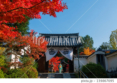 Japanese woman in Kimono at Kenninji temple and fall leaves, Kyoto Japanese woman in Kimono at Kenninji temple and fall leaves, Kyoto 139867095