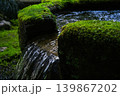 苔むした石 139867202