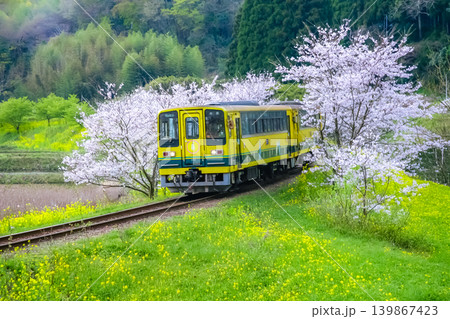 春の中を走るローカル線 139867423