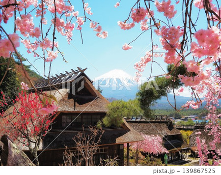 山梨県 桜と古民家と富士 4月 山梨県 桜と古民家と富士 4月 139867525