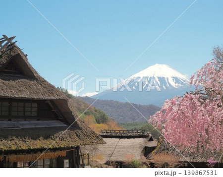 山梨県 満開の桜咲くいやしの里根場 4月 山梨県 満開の桜咲くいやしの里根場 4月 139867531