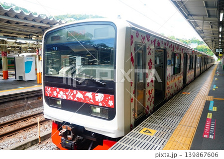 伊豆急行のアロハ電車 139867606