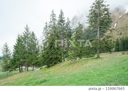 スイスのルツェルン湖を見下ろすピラトゥス山 スイスのルツェルン湖を見下ろすピラトゥス山 139867665
