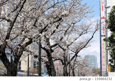 都市風景 川崎駅周辺 桜並木 都市風景 川崎駅周辺 桜並木 139868232