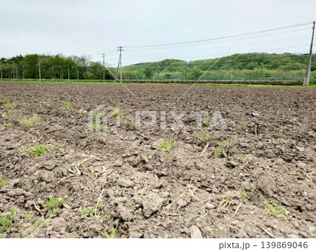 耕された畑と新緑の田園風景 139869046
