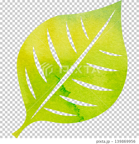 Beautiful watercolor leaf icon image illustration Beautiful watercolor leaf icon image illustration 139869956