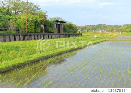 千葉県 小湊鉄道 上総川間駅 千葉県 小湊鉄道 上総川間駅 139870154