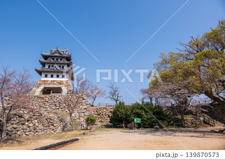 春の洲本城跡・本丸広場と石垣の風景(淡路島) 春の洲本城跡・本丸広場と石垣の風景(淡路島) 139870573