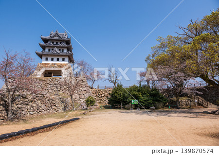 春の洲本城跡・本丸広場と石垣の風景(淡路島) 春の洲本城跡・本丸広場と石垣の風景(淡路島) 139870574