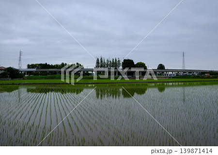 田植えが終わった水田 田植えが終わった水田 139871414