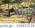 埼玉県寄居町の鉢形城公園 139871538