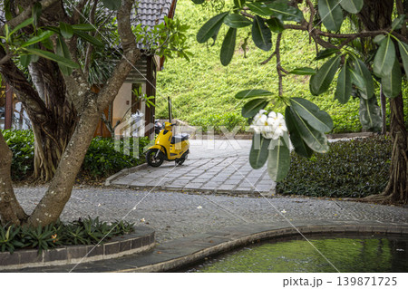 Bright yellow scooter parked on a cobblestone path in a lush tropical garden in Vietnam. Plumeria tree with white flowers, green pond, and resort buildings in the background. 139871725