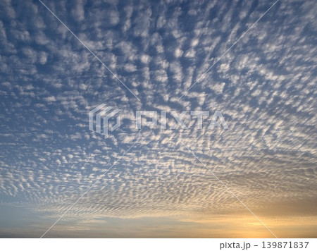 夕暮れ時の空一面に広がる美しい紋様のうろこ雲 139871837