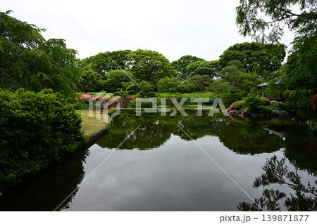 城北公園(静岡市)260523pm2:41 城北公園(静岡市)260523pm2:41 139871877