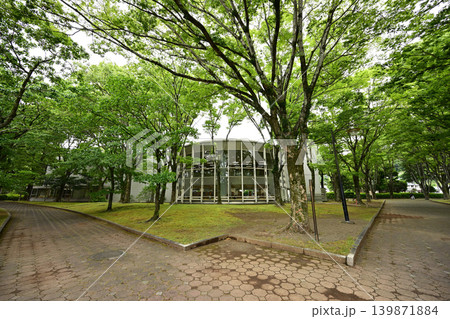 城北公園(静岡市)中央図書館260523pm3:11 城北公園(静岡市)中央図書館260523pm3:11 139871884