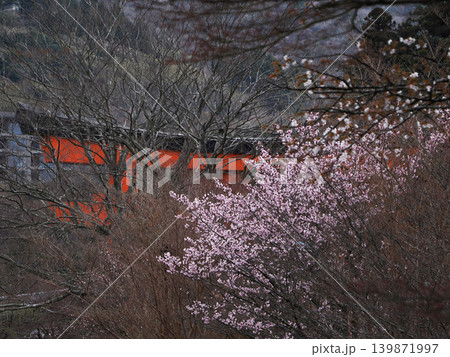 刷毛神社の朱色の鳥居 刷毛神社の朱色の鳥居 139871997