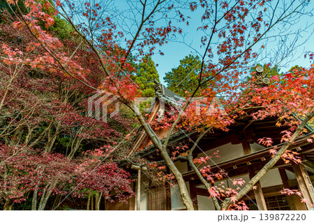 滋賀  西明寺の秋景色 139872220