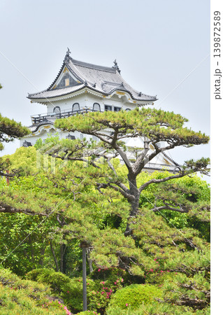 岸和田城の天守閣 139872589