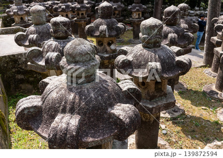 東光寺・苔と地衣類に覆われた石灯籠のクローズアップ（毛利家墓所・萩市） 139872594