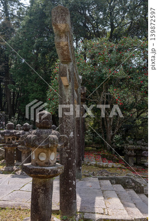 東光寺・石柱と石灯籠、背後に鮮やかな赤い椿が映える(毛利家墓所・萩市) 東光寺・石柱と石灯籠、背後に鮮やかな赤い椿が映える(毛利家墓所・萩市) 139872597
