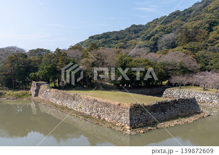 萩城跡・堀に突き出た隅石垣と森の山を望む（萩市） 139872609