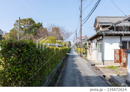 萩市・白壁の民家と桜が彩る城下町の静かな住宅街の路地 139872624