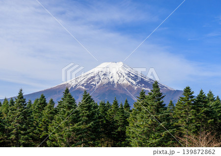 春の新緑の森と美しい富士山と青空 春の新緑の森と美しい富士山と青空 139872862