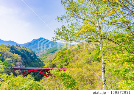 (山梨県)新緑の八ヶ岳連峰 東沢大橋 (山梨県)新緑の八ヶ岳連峰 東沢大橋 139872951