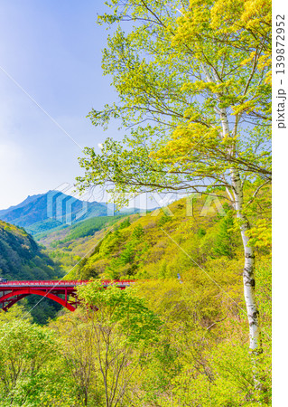 （山梨県）新緑の八ヶ岳連峰　東沢大橋 139872952
