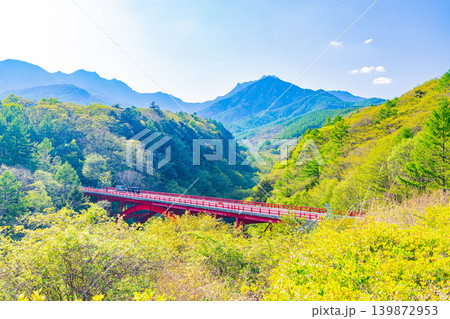 （山梨県）新緑の八ヶ岳連峰　東沢大橋 139872953