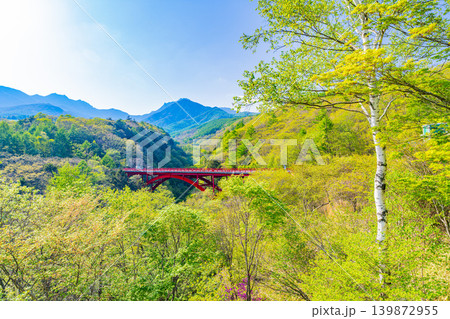 (山梨県)新緑の八ヶ岳連峰 東沢大橋 (山梨県)新緑の八ヶ岳連峰 東沢大橋 139872955