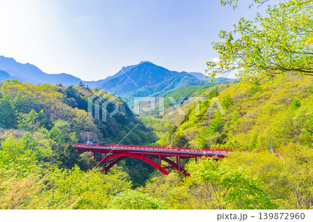 (山梨県)新緑の八ヶ岳連峰 東沢大橋 (山梨県)新緑の八ヶ岳連峰 東沢大橋 139872960