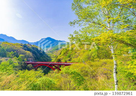 （山梨県）新緑の八ヶ岳連峰　東沢大橋 139872961