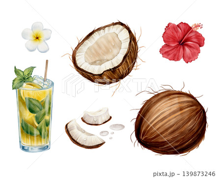 Tropical Summer Set Watercolor Illustration 139873246