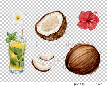 Tropical Summer Set Watercolor Illustration 139873246