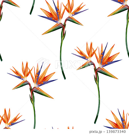 Bird of paradise seamless pattern 139873340