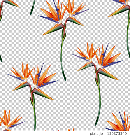 Bird of paradise seamless pattern 139873340