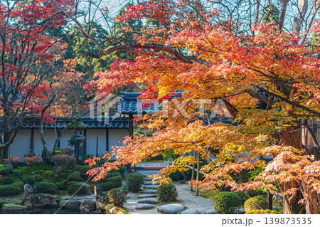 滋賀 西明寺 名勝庭園の秋景色 139873535