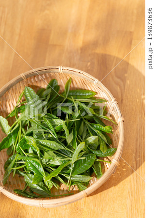 茶葉 新芽 籠 茶葉 新芽 籠 139873636